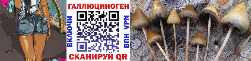 Псилоцибиновые грибы мухоморы  Киселёвск 